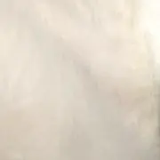 nyanの画像