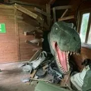 りょーへいの画像
