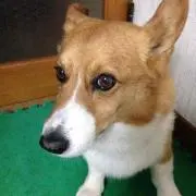 リリコ!now on sale!