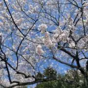 なつの画像