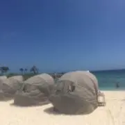 ayaの画像