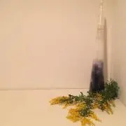 cocolapi