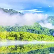 はなはなの画像