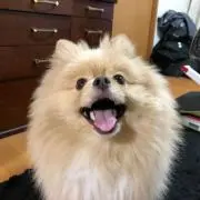 naokinnnnの画像