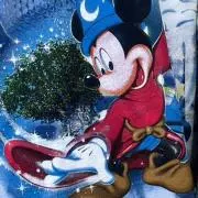 ウィルの画像