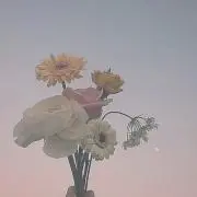 みゅ 断捨離中の画像