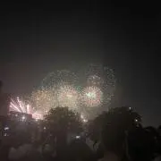 いちごの画像