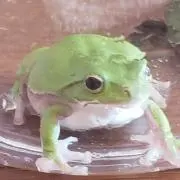 ななくるの画像