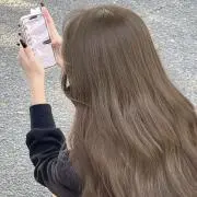 うさぎの画像