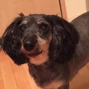 ちゃおり