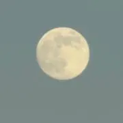 メの画像