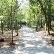 ropeの画像