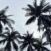 【24時間以内発送】28.の画像