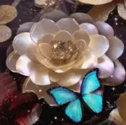 珀゜haku ・jewel *.♢