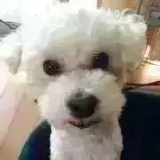 発送お時間頂きますの画像