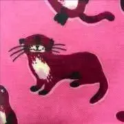 aloha☆の画像