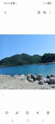 ぱんこの画像