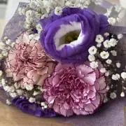みーこ