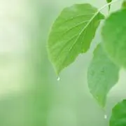 あきchanの画像