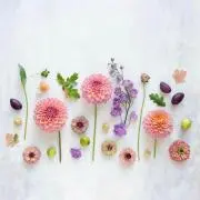 ❁うに☺︎︎\ ♪ /の画像