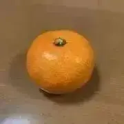 ーJUNーの画像