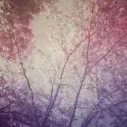 断捨離チャン！の画像