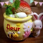 ☆ごん☆