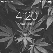 KAN⭐︎