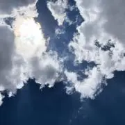 たいの画像