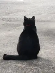 アズリエルの画像