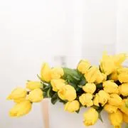 pipi708の画像