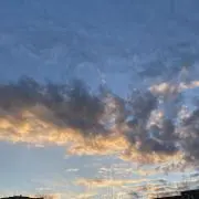 sunnyの画像