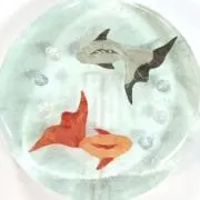 すいの画像