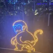 きゅう