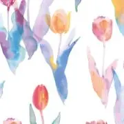 sakiの画像