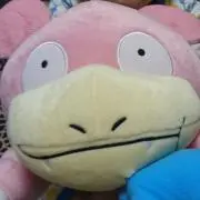 ぴょーの画像