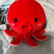 ちータコの画像