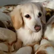 ☆カヌレ☆の画像