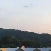 ★クローバー★