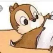 チップ