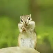 あず☆！プロフ必読♪