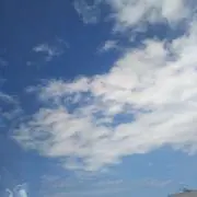 Asaeの画像