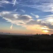Chaの画像