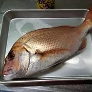 釣り吉ママの画像
