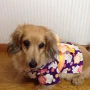 Chelchel918の画像