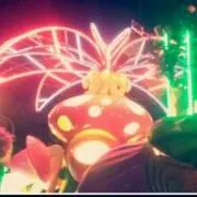25の画像