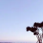 Emiri