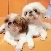 めめ♡お得な同時購入値引きあり♡の画像