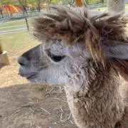 かつんmamaの画像