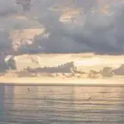 solaの画像